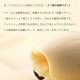 てん菜糖フィナンシェ 1個