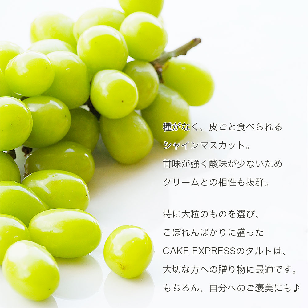 大粒シャインマスカットタルト 4号