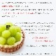 大粒シャインマスカットタルト 5号