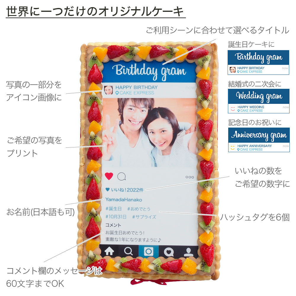 インスタグラム風チョコレートケーキ L