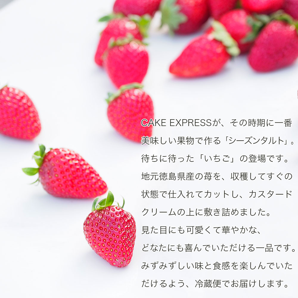 いちごタルト 4号