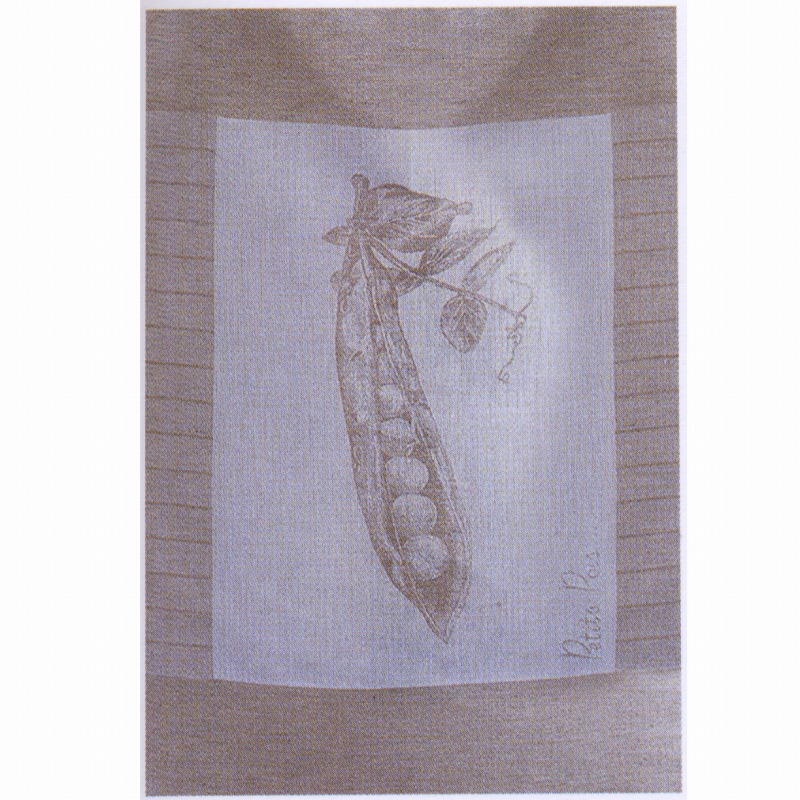 【訳アリ】coucke フレンチリネン　パンテュール　えんどう