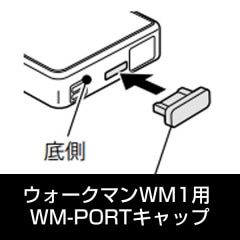 部品 ソニー ウォークマン WM1シリーズ用 WM-PORTキャップ