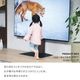 ソニー製テレビ対応 壁寄せテレビスタンドWALL V2・V3・V5対応 マルチデバイスホルダー