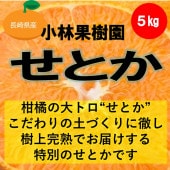 ���Ӳ̼���μ��崰�Ϥ��Ȥ�����