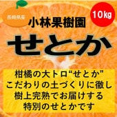 ���Ӳ̼���μ��崰�Ϥ��Ȥ�10��