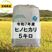 �ܺ긩���ԥ������ơإҥΥҥ���٣���