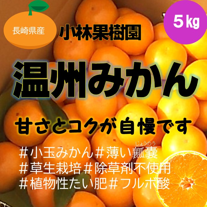 ���Ӳ̼���Υ����Ťߤ���ʲ����������ԡ�