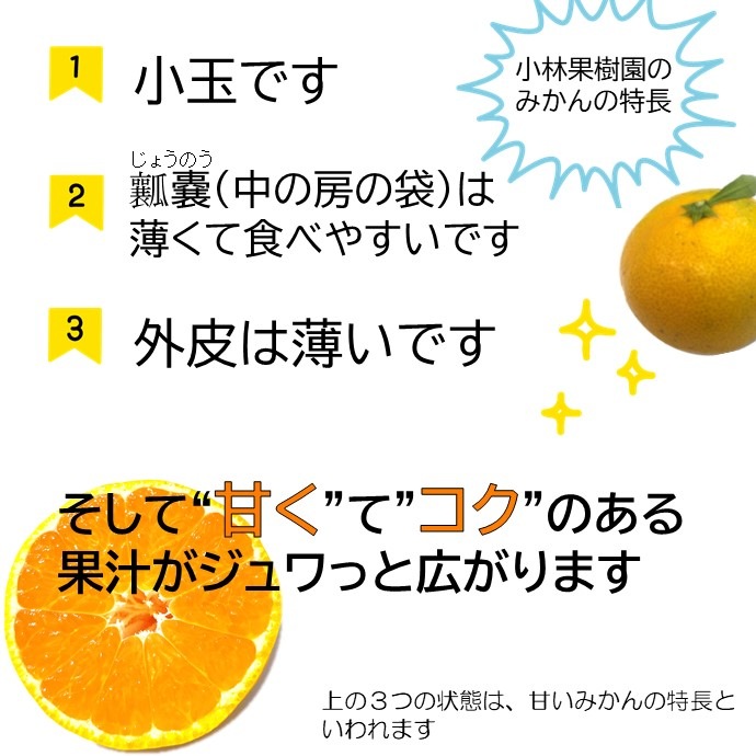 ���Ӳ̼���Υ����Ťߤ���ʲ����������ԡ�