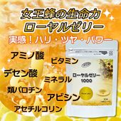 ������를�꡼��������