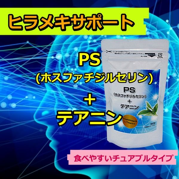 PS(�ۥ��ե������륻���)+�ƥ��˥�