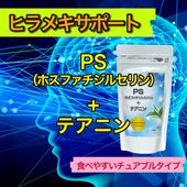 PS(�ۥ��ե������륻���)+�ƥ��˥�
