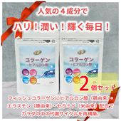 ���顼����ܥҥ������������ĥ��å�