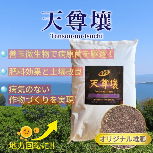 ŷºTenson-no-tsuchi