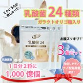 ������24 -���ĥ��å�