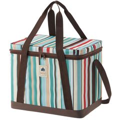 LOGOS　氷点下パック抗菌・デザインクーラーXL（ブルーストライプ）