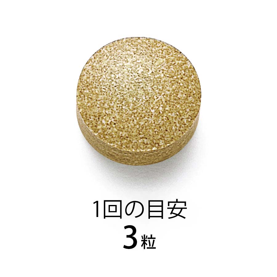 ファンケル 大人のカロリミット 徳用90日分