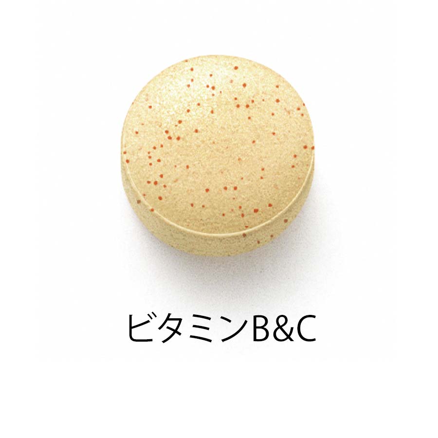 ファンケル 基本栄養パック 徳用90日分