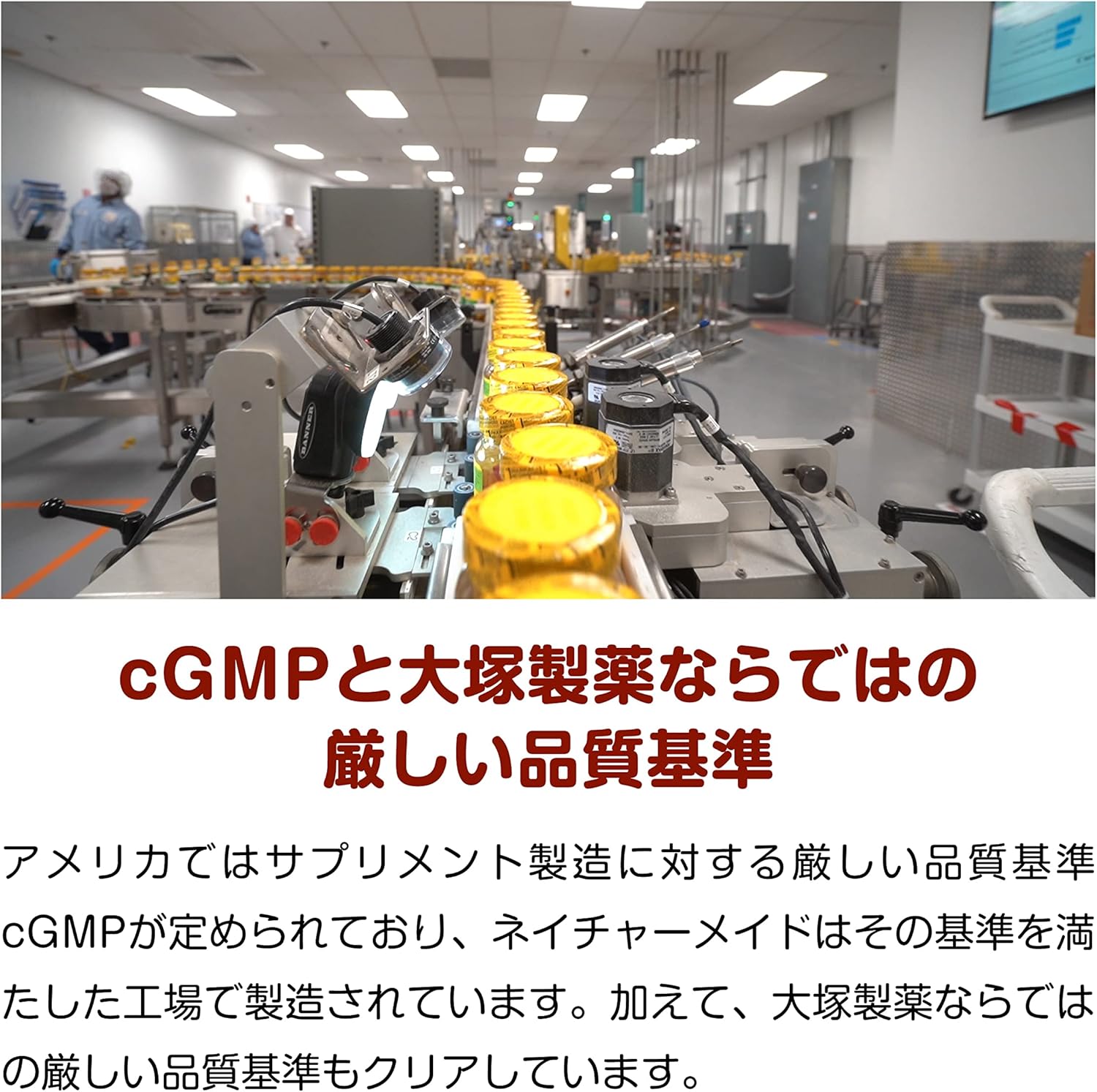 大塚製薬　ネイチャーメイド コエンザイムＱ10　３本セット