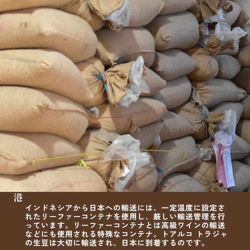 トアルコ トラジャ 豆 200g