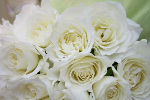 白いバラの花束