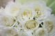 白いバラの花束