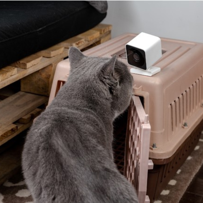 ATOM Cam2
