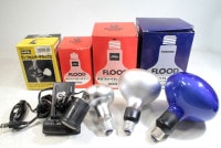 ��š�LPL���������ץۥ����DX + ��� �ե��ȥ�ե쥯������ 3�ܥ��åȡ���������:AB (����)