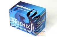 HARMAN 顼ͥե Phoenix II 200 36绣ꡡ1