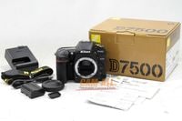 š˥󡡡D7500 ܥǥ١AB-ʥޥʥ