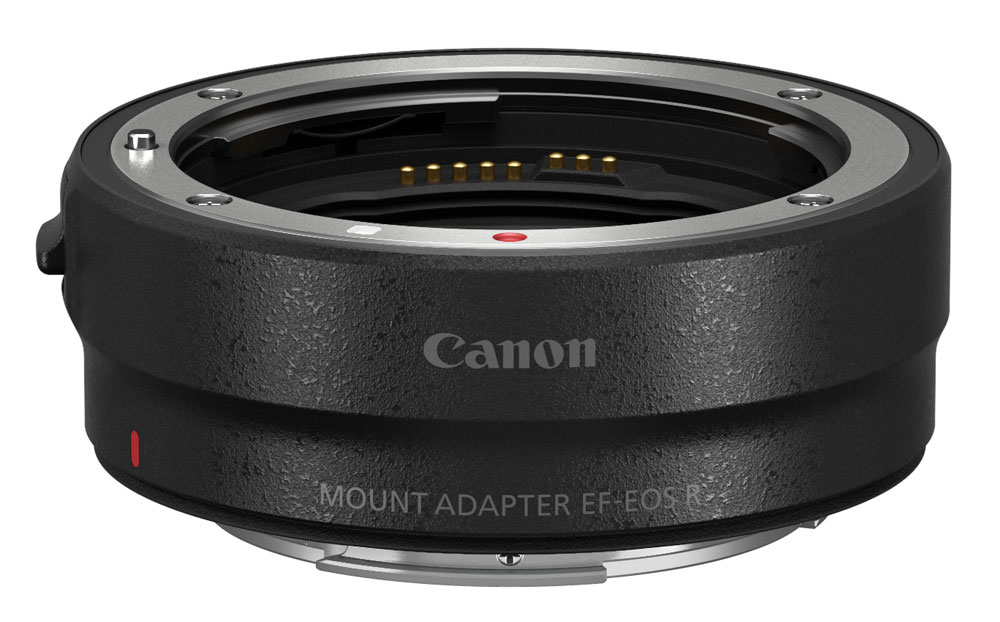 ����Υ� �ޥ���ȥ����ץ��� EF-EOS R  ��Ǽ�����������١�