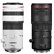 [��ǯ�ݸ����ò�]����Υ� RF70-200mm F2.8 L IS USM Z �ۥ磻�ȡ��֥�å� �إۥ磻�ȿ���Ǽ������������/�֥�å�����Ǽ�����������١��������Ĺ����˾�󥺡�����