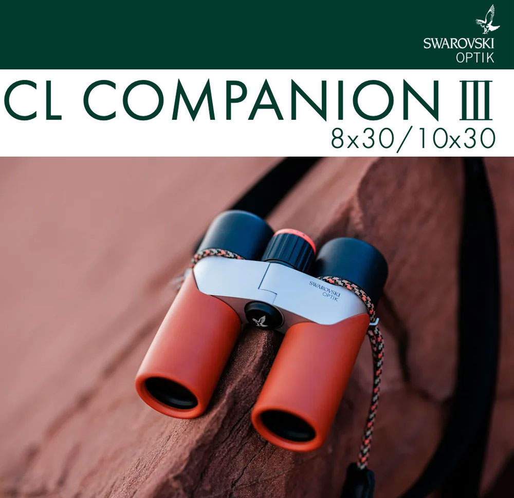 ������ե����� CL Companion III 8x30 / 10x30 �д�� ���꡼�󡿥���󥸡��֥饦�� SWAROVSKI 30mm���£��ܡ��������д��