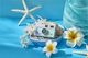 ���󥳡� �ǥ����ˡ�����饯���� �ȥ������ [�ߥå������ߥˡ����٥��ޥå��������ƥ��å������ޤΥס�����] �أ������Ķ������ȯ���ٱվ���˥�����ܡ� �ǥ����ˡ�����饯����������ʹ���ʤ��黣�ƤǤ���Ķ�����ȥ��ǥ����륫��� �ԥ���