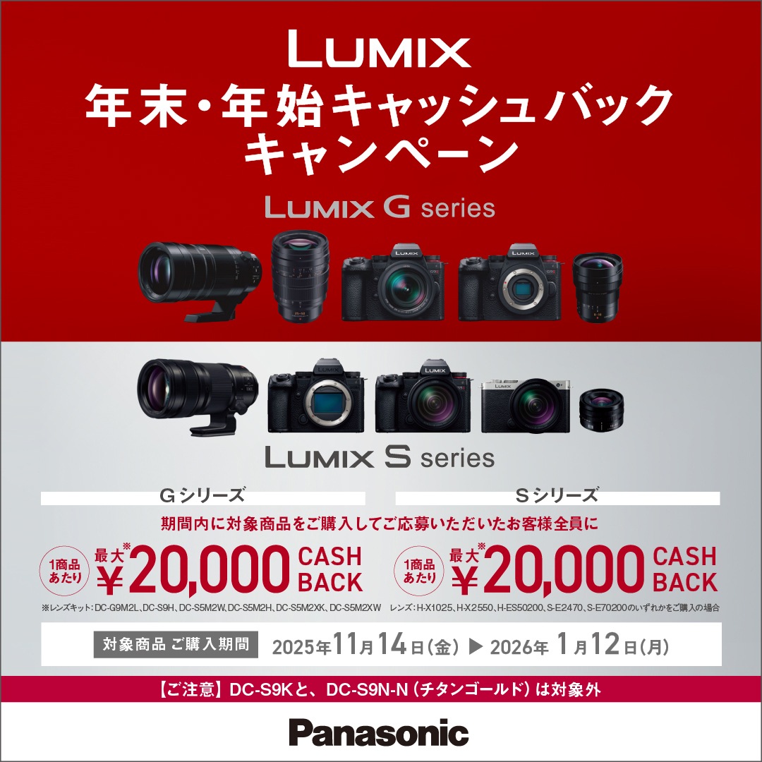 [3ǯ�ݸ���] Panasonic LUMIX S9 �ߥ顼�쥹������Ψɸ�ॺ�����󥺥��å� ��ߥå��� S9 Body +  28-200mmɸ�ॺ�����󥺥��å�