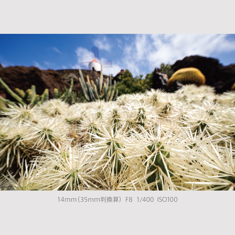 [3ǯ�ݸ���] Panasonic LUMIX S9 �ߥ顼�쥹������Ψɸ�ॺ�����󥺥��å� ��ߥå��� S9 Body +  28-200mmɸ�ॺ�����󥺥��å�