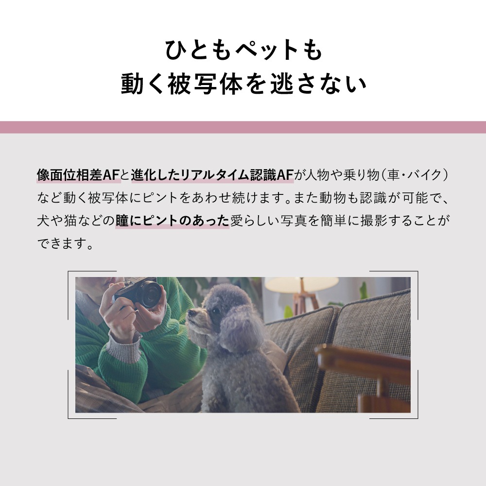 [3ǯ�ݸ���] Panasonic LUMIX S9 �ե륵�����ߥ顼�쥹���ܥǥ������å�