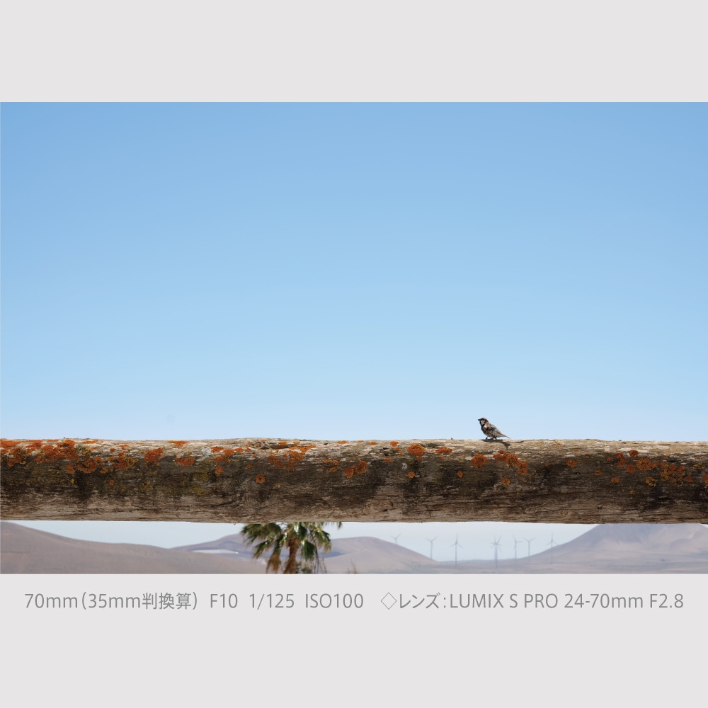 [3ǯ�ݸ���] Panasonic LUMIX S9 �ե륵�����ߥ顼�쥹���ܥǥ������å�