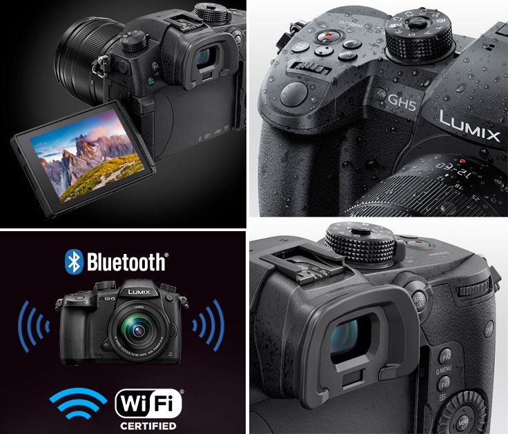 [3ǯ�ݸ���]Panasonic LUMIX GH5 �ߥ顼�쥹���ܥǥ������å� DC-GH5-K