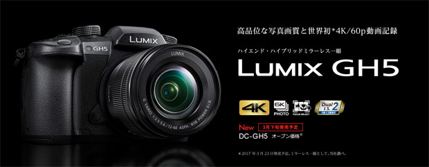 [3ǯ�ݸ���]Panasonic LUMIX GH5 �ߥ顼�쥹���ܥǥ������å� DC-GH5-K