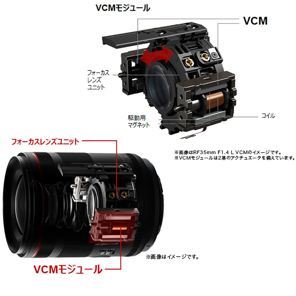 [��ǯ�ݸ���]����Υ� RF LENS RF20mm F1.4L VCM ����¹���ñ������󥺡�2025ǯ�����ȯ�䡡ȯ����������ȯ����