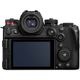 [ǯݸ]ѥʥ˥å LUMIX S1IIE ܥǥ DC-S1M2ES2025ǯ619ȯ4549980946008 ߥå S1M2å󥷥ܥǥ 
