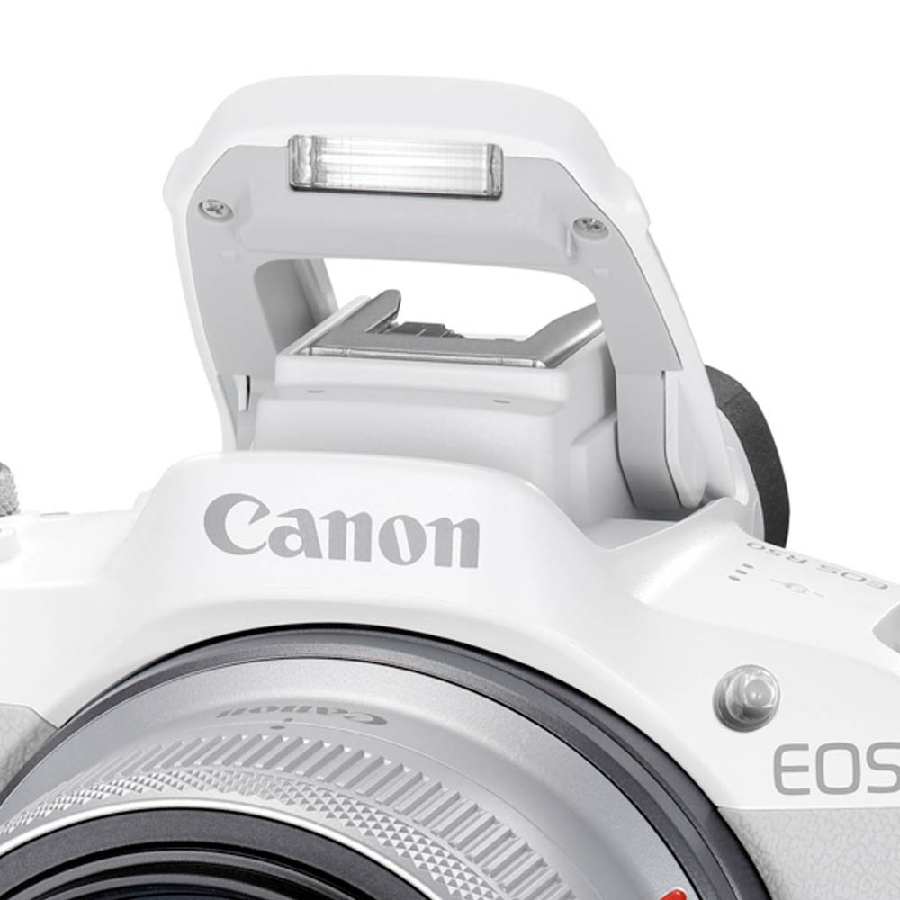 [3ǯ�ݸ���]����Υ� EOS R50��RF-S18-45 IS STM��󥺥��å� �ۥ磻�ȡ�Ǽ�����������١�APS-C���������󥵡��ߥ顼�쥹��㥫���ɸ�ॺ�����󥺥��å�