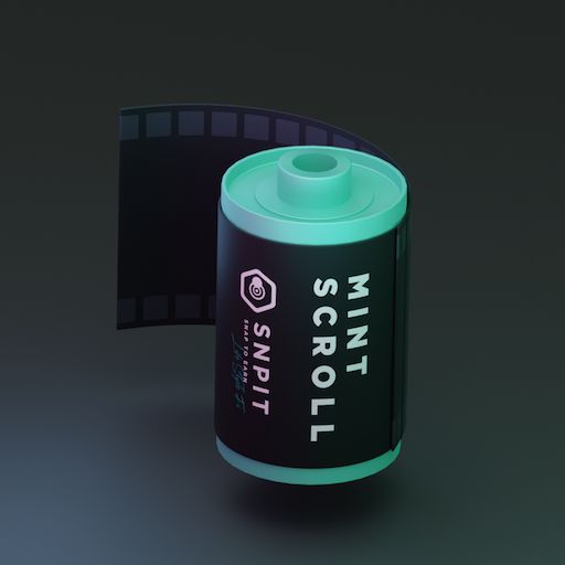 【お一人様2点まで】SnpitMintScrollNFT