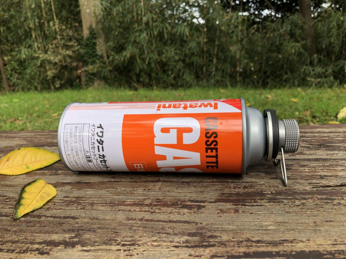 �ߴ������ץ���&�ޥ�������ۡ����饤�� Z10/Z13/Z21N