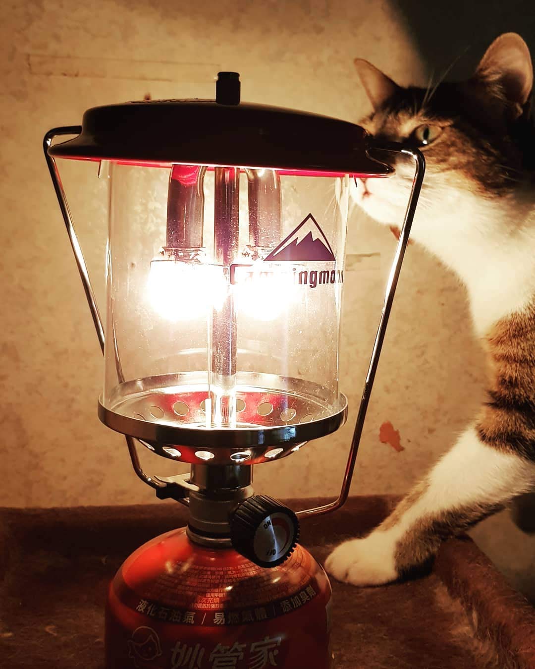 ダブルマントル ガスランタン T-8 | ランタン | キャンピングムーン