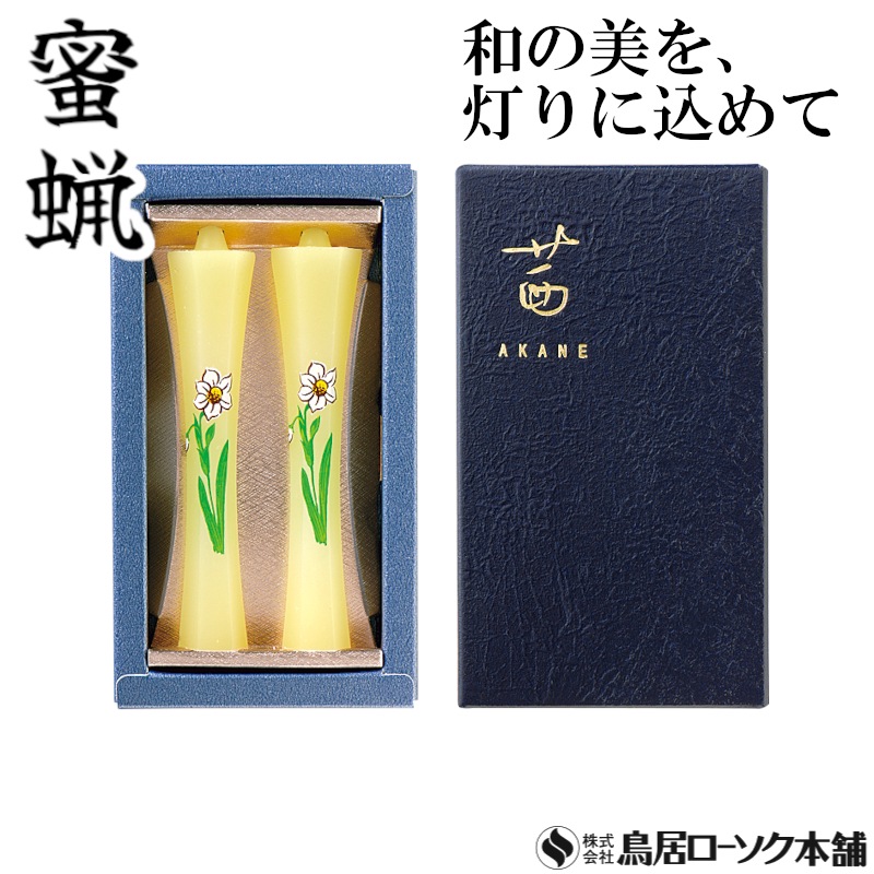 茜 水仙 2本入