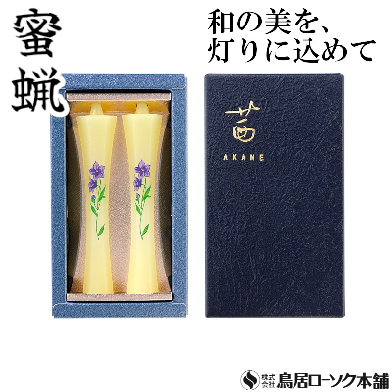 茜 桔梗 2本入
