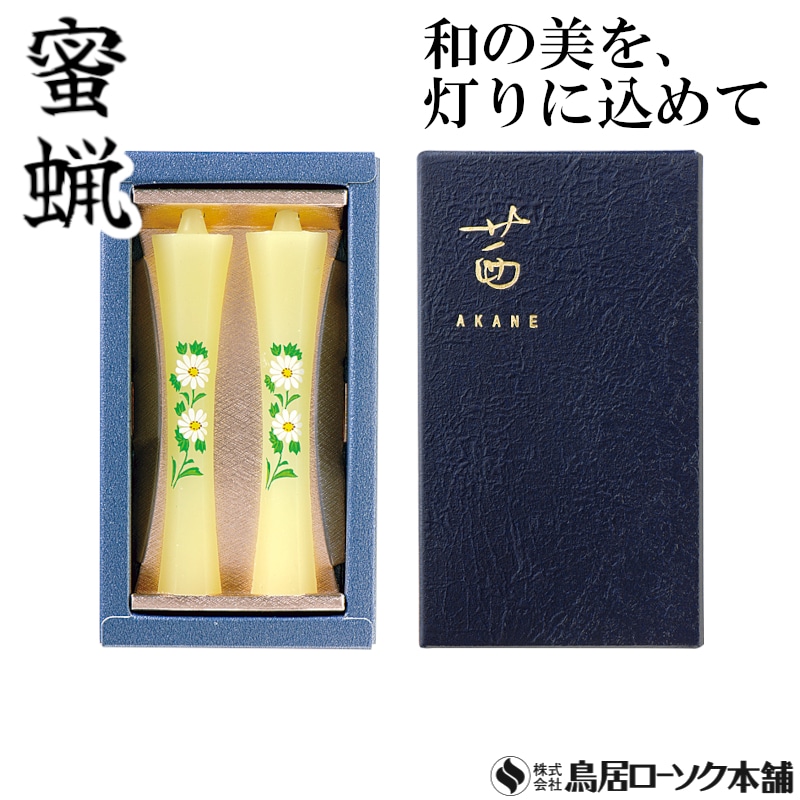 茜 菊 2本入