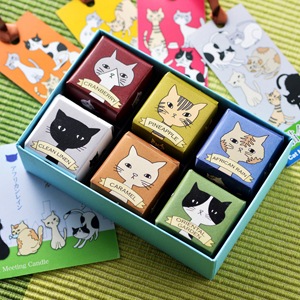 キャンドル専門店Candly 猫会議